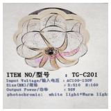 NEW! SMART LED TG-C201 CEILING MOUNT LIGHT FIXTURE