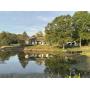 Fister Real Estate & Personal Property Auction