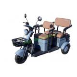 Unused IRGC40 Electric Mini Tricycle Golf Cart *