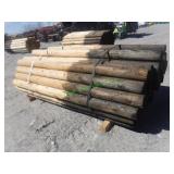 ~50 Unused Round Posts 5" X 8