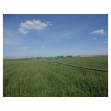Thunderbird Wheel Line ~1600 ** OFFSITE**