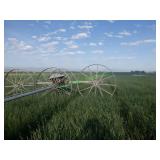 Thunderbird Wheel Line ~1600