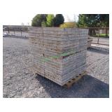 40 Symons Concrete Wall Forms 48" X 24"