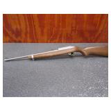 Ruger 10/22 Carbine Stainless, 22LR, Semi Auto,Mag