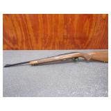 Winchester 100 243 Win, Semi Auto, Sights, 22in.