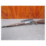 Remington Nylon 66 22LR, Semi Auto, Sights, 19.5in