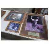Large White Tail Deer Art (Wild Kingdom Series) &