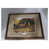 Autumn Glow by Sterphen Hamrick 17.5wx13.5L