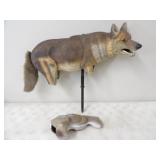 Coyote Decoy & Rabbit Decoy