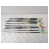 12-Gold TIp Pro Hunter 5575 Arrows