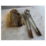 Jen-Sal Castrating Tool