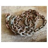 12ft. Log Chain 2 Hooks
