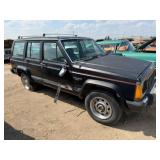 1989 Jeep Cherokee Pioneer, 4.0L 6 Cyl, Auto, 4x4