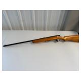 Stevens 56 22 S/L/LR Bolt Action, Magazine, Sights