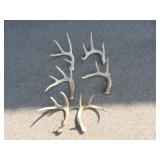 5-4pt Antlers, 1-5pt Antler, 6 Total