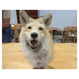 Fox Head for Pedestal Mount