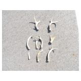 8-Small Antlers