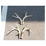 2 Pairs of Antlers (3pt & 4pt)