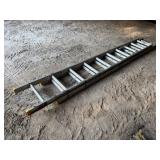 Werner D1216-2 20ft. Alum Ext. Ladder