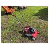 Murray 20in. 3.5HP Classic Push Mower