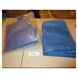 2 Blue Tarps