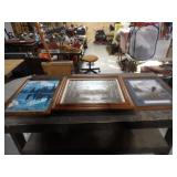 3-Framed Nature Prints