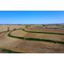 275.32 ac m/l Harrison Co. IA Land Auction