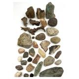 Prehistoric Fossils, Stones, Petrified Wood &
