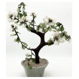 Asian Bonsai Tree