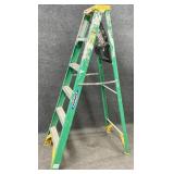 Werner 6ft Ladder #5906