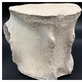 Faux Sperm Whale Vertebrae, House Parts Inc