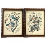 2 Arthur Singer Bird Botanical Art Prints