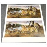 2pc Gary Swanson S/N African Wildlife Art Prints