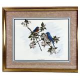 S/N Blue Birds n Apple Blossoms Framed Art Print