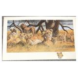 Gary Swanson A.P. Lion Print w/ Painted Remarque