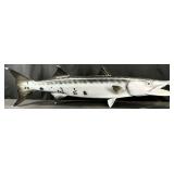 46in Wall Mounted Barracuda