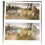 2pc Gary Swanson S/N African Wildlife Art Prints