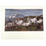 Gary Swanson S/N Dall Sheep Wildlife Art Print
