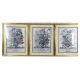 2 Botanical Birth Month Art Prints, Feb & July