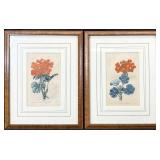 2 Hand Colored Botanical Engravings