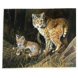 Gary Swanson S/N Bobcat Wildlife Art Print