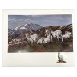 Gary Swanson S/N Dall Sheep Print w/ Remarque