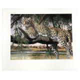 Gary Swanson S/N Leopard Wildlife Art Print