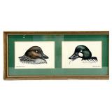 Orig. Pen & Ink w/ Watercolor Drawing, Two Ducks