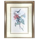 J Gould HC Richter Hummingbird Floral Art Print