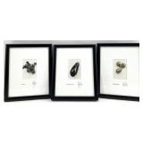 3 John W. Golden Signed Photography Prints