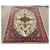 8.10 x 11.11 Hand Knotted Wool Rug