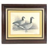 John Taylor S/N Canadian Goose Art Print