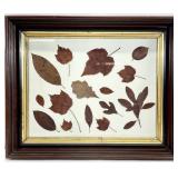 Pressed Leaves in Vintage Wood Frame