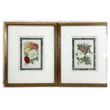 2 Framed & Matted Botanical Art Prints
